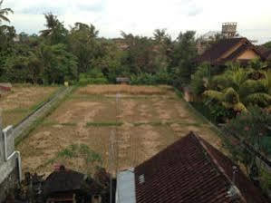 Pondok Mertha House Ubud Eksteriør billede